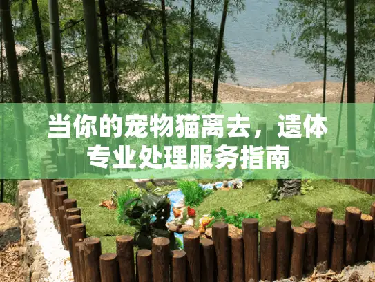 当你的宠物猫离去，遗体专业处理服务指南