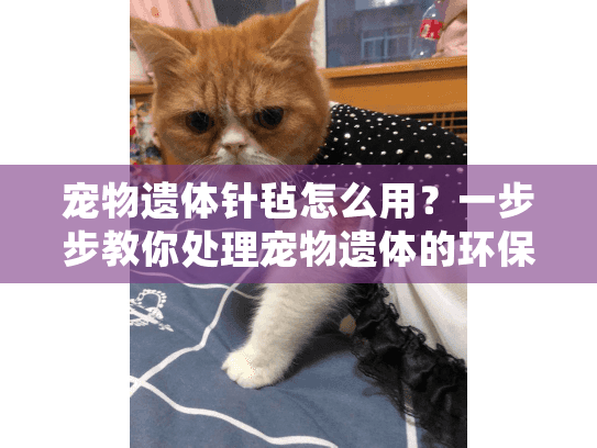 宠物遗体针毡怎么用？一步步教你处理宠物遗体的环保方式
