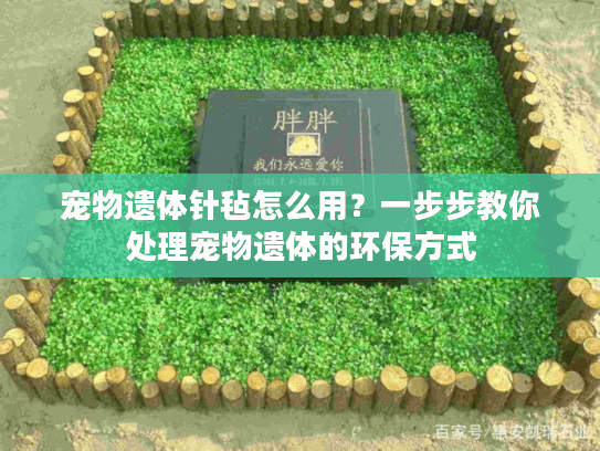 宠物遗体针毡怎么用？一步步教你处理宠物遗体的环保方式