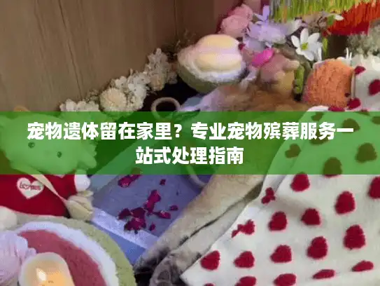 宠物遗体留在家里？专业宠物殡葬服务一站式处理指南