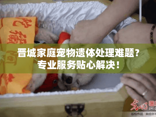 晋城家庭宠物遗体处理难题？专业服务贴心解决！