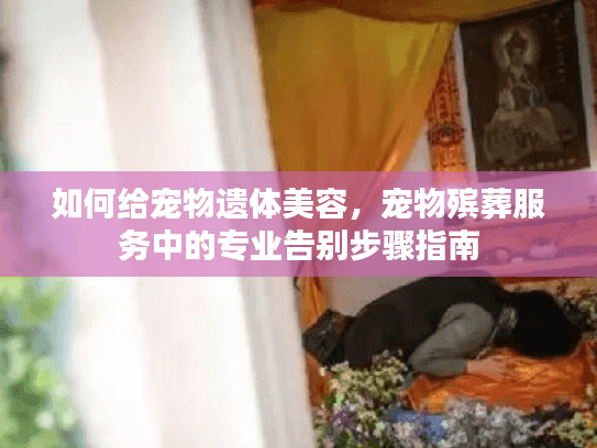 如何给宠物遗体美容，宠物殡葬服务中的专业告别步骤指南