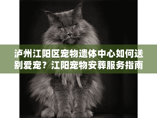泸州江阳区宠物遗体中心如何送别爱宠？江阳宠物安葬服务指南