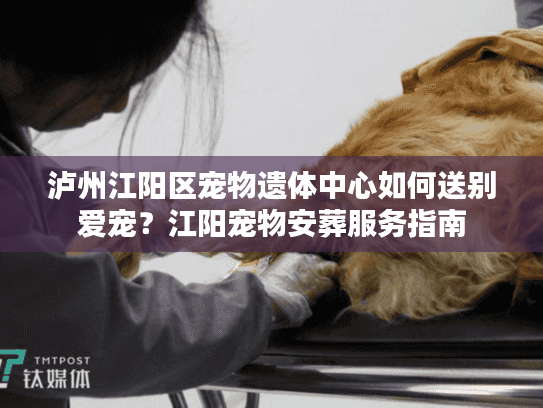 泸州江阳区宠物遗体中心如何送别爱宠？江阳宠物安葬服务指南