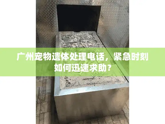 广州宠物遗体处理电话，紧急时刻如何迅速求助？