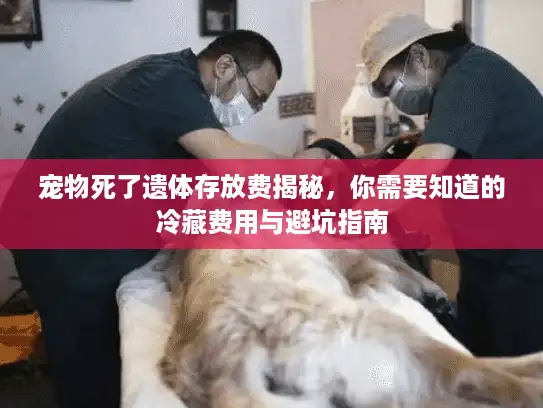 宠物死了遗体存放费揭秘，你需要知道的冷藏费用与避坑指南