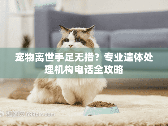 宠物离世手足无措？专业遗体处理机构电话全攻略