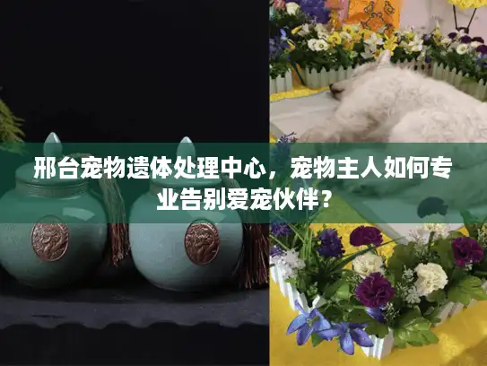 邢台宠物遗体处理中心，宠物主人如何专业告别爱宠伙伴？