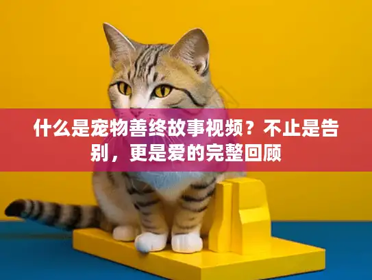什么是宠物善终故事视频?不止是告别,更是爱的完整回顾 什么是宠物善终故事视频?不止是告别,更是爱的完整回顾