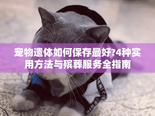 宠物遗体如何保存最好?4种实用方法与殡葬服务全指南