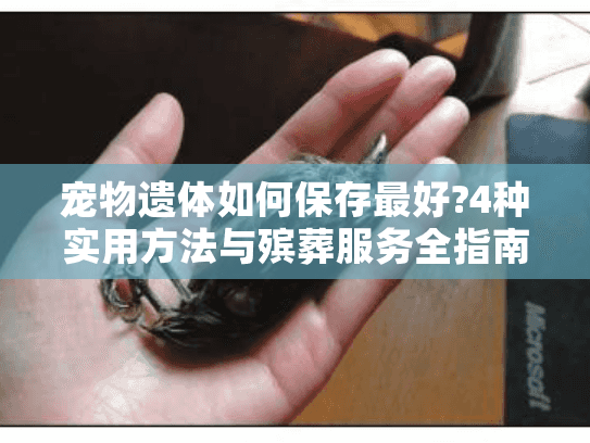 宠物遗体如何保存最好?4种实用方法与殡葬服务全指南