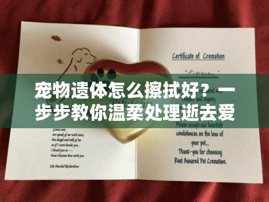 宠物遗体怎么擦拭好？一步步教你温柔处理逝去爱伴的步骤