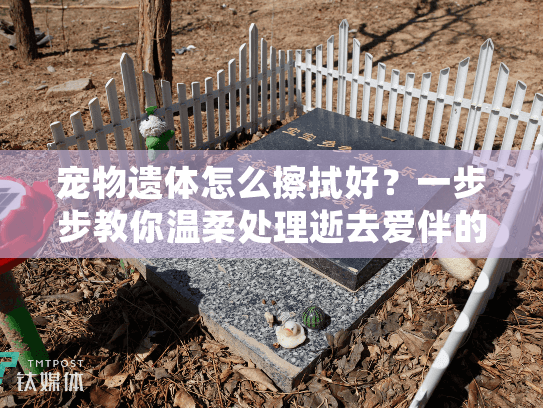 宠物遗体怎么擦拭好？一步步教你温柔处理逝去爱伴的步骤