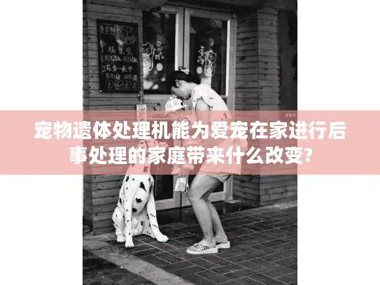宠物遗体处理机能为爱宠在家进行后事处理的家庭带来什么改变?