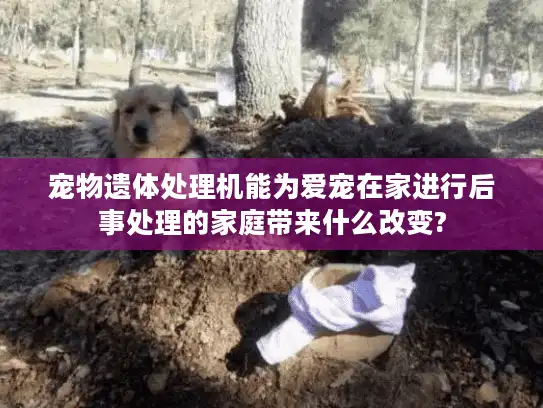 宠物遗体处理机能为爱宠在家进行后事处理的家庭带来什么改变?
