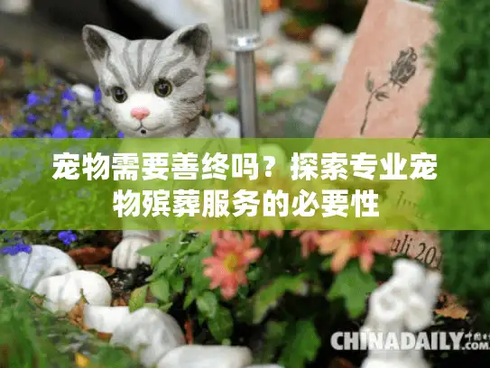 宠物需要善终吗？探索专业宠物殡葬服务的必要性