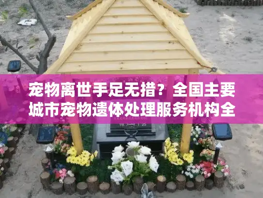 宠物离世手足无措？全国主要城市宠物遗体处理服务机构全面盘点