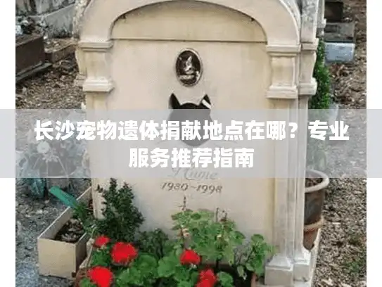 长沙宠物遗体捐献地点在哪?专业服务推荐指南 长沙宠物遗体捐献地点在哪?专业服务推荐指南