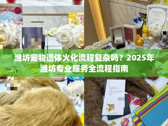 潍坊宠物遗体火化流程复杂吗？2025年潍坊专业服务全流程指南