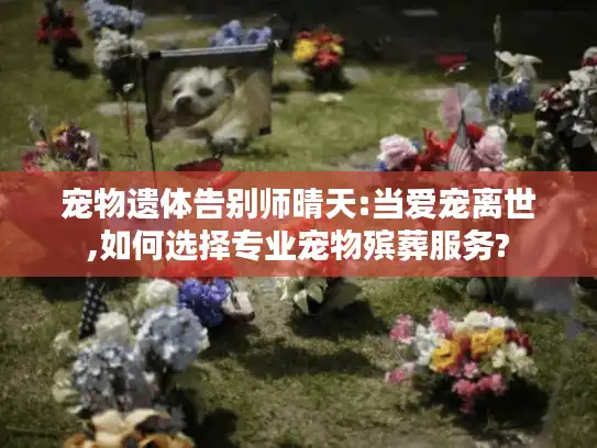 宠物遗体告别师晴天:当爱宠离世,如何选择专业宠物殡葬服务?