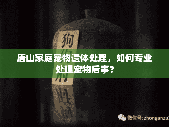 唐山家庭宠物遗体处理,如何专业处理宠物后事? 唐山家庭宠物遗体处理,如何专业处理宠物后事?