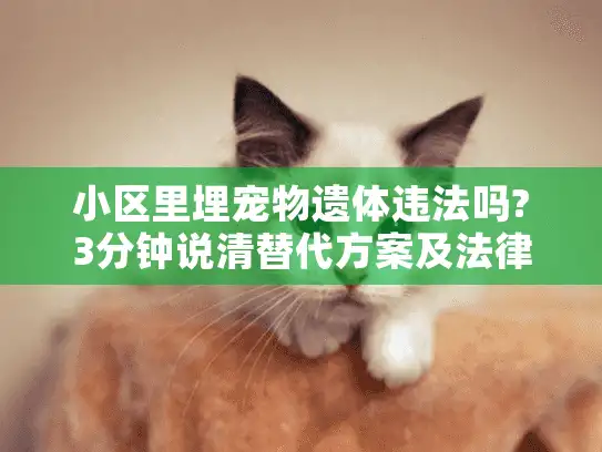 小区里埋宠物遗体违法吗?3分钟说清替代方案及法律后果