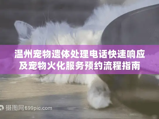 温州宠物遗体处理电话快速响应及宠物火化服务预约流程指南 温州宠物遗体处理电话快速响应及宠物火化服务预约流程指南