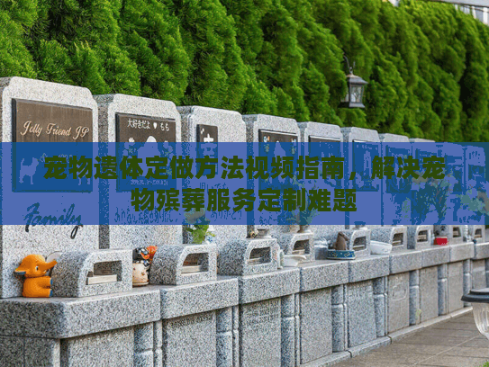 宠物遗体定做方法视频指南，解决宠物殡葬服务定制难题