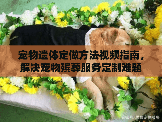 宠物遗体定做方法视频指南，解决宠物殡葬服务定制难题