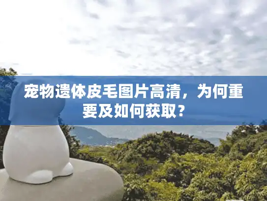 宠物遗体皮毛图片高清，为何重要及如何获取？