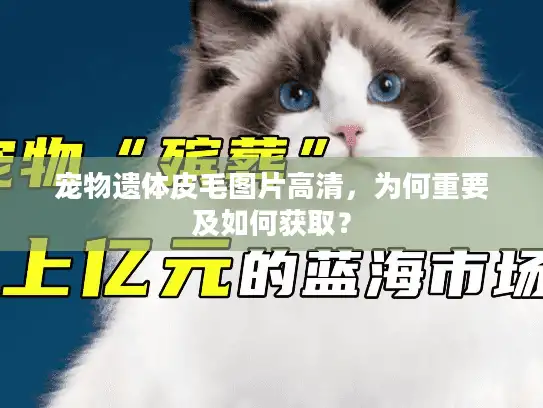 宠物遗体皮毛图片高清，为何重要及如何获取？