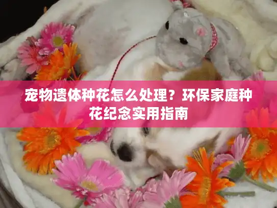 宠物遗体种花怎么处理？环保家庭种花纪念实用指南