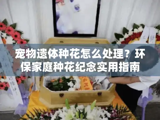 宠物遗体种花怎么处理？环保家庭种花纪念实用指南