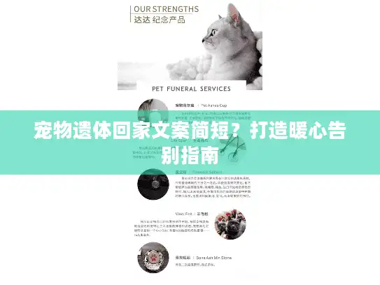 宠物遗体回家文案简短？打造暖心告别指南