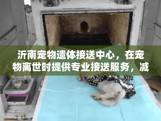 沂南宠物遗体接送中心，在宠物离世时提供专业接送服务，减轻您的痛苦