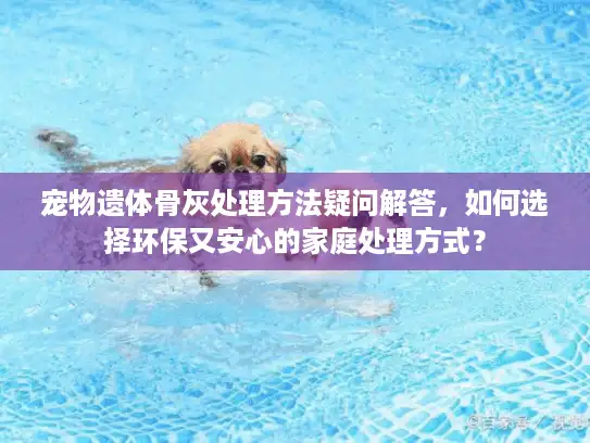 宠物遗体骨灰处理方法疑问解答，如何选择环保又安心的家庭处理方式？