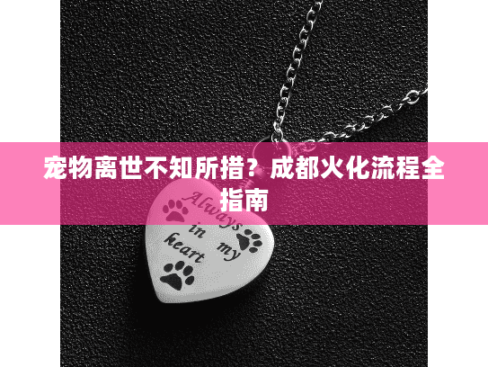 宠物离世不知所措？成都火化流程全指南