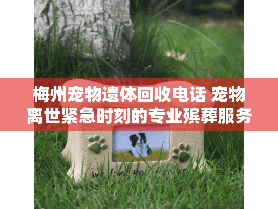 梅州宠物遗体回收电话 宠物离世紧急时刻的专业殡葬服务热线 梅州宠物遗体回收电话 宠物离世紧急时刻的专业殡葬服务热线