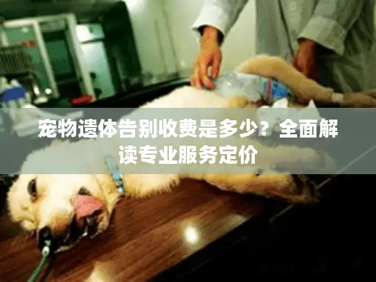 宠物遗体告别收费是多少？全面解读专业服务定价