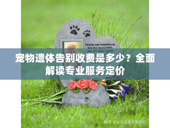 宠物遗体告别收费是多少？全面解读专业服务定价