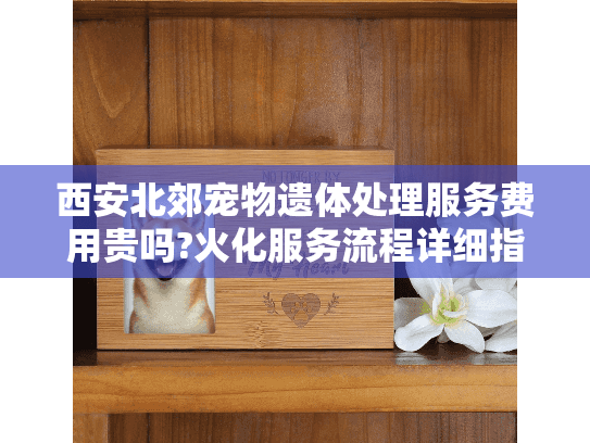 西安北郊宠物遗体处理服务费用贵吗?火化服务流程详细指南