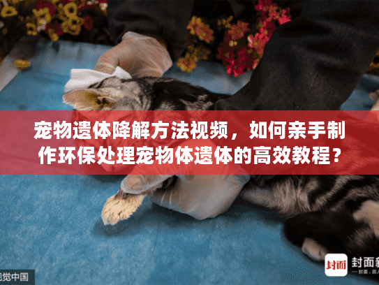 宠物遗体降解方法视频,如何亲手制作环保处理宠物体遗体的高效教程? 宠物遗体降解方法视频,如何亲手制作环保处理宠物体遗体的高效教程?