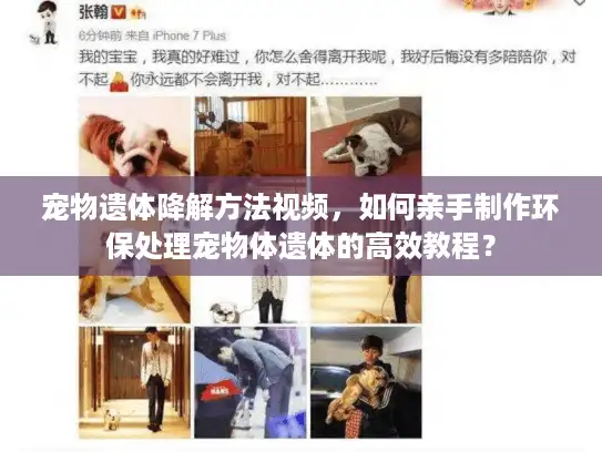 宠物遗体降解方法视频,如何亲手制作环保处理宠物体遗体的高效教程? 宠物遗体降解方法视频,如何亲手制作环保处理宠物体遗体的高效教程?