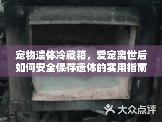 宠物遗体冷藏箱，爱宠离世后如何安全保存遗体的实用指南