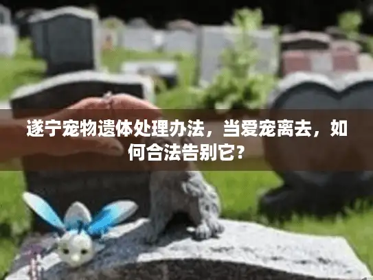 遂宁宠物遗体处理办法,当爱宠离去,如何合法告别它? 遂宁宠物遗体处理办法,当爱宠离去,如何合法告别它?