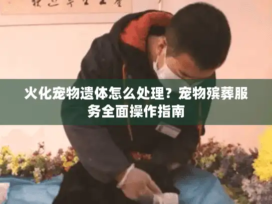 火化宠物遗体怎么处理？宠物殡葬服务全面操作指南