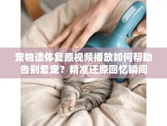 宠物遗体复原视频播放如何帮助告别爱宠?精准还原回忆瞬间 宠物遗体复原视频播放如何帮助告别爱宠?精准还原回忆瞬间