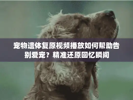 宠物遗体复原视频播放如何帮助告别爱宠?精准还原回忆瞬间 宠物遗体复原视频播放如何帮助告别爱宠?精准还原回忆瞬间