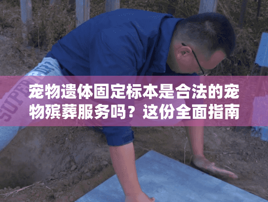 宠物遗体固定标本是合法的宠物殡葬服务吗？这份全面指南告诉你答案