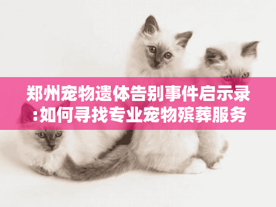 郑州宠物遗体告别事件启示录:如何寻找专业宠物殡葬服务